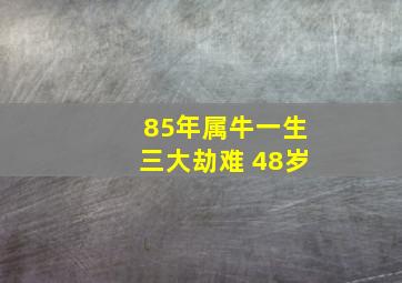 85年属牛一生三大劫难 48岁